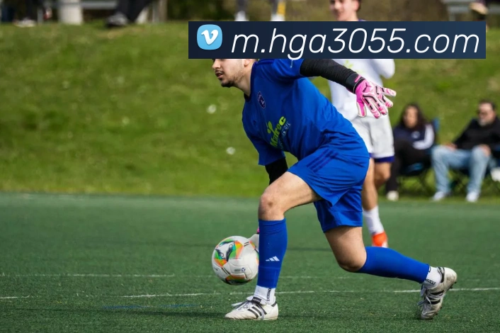 数据分析功能